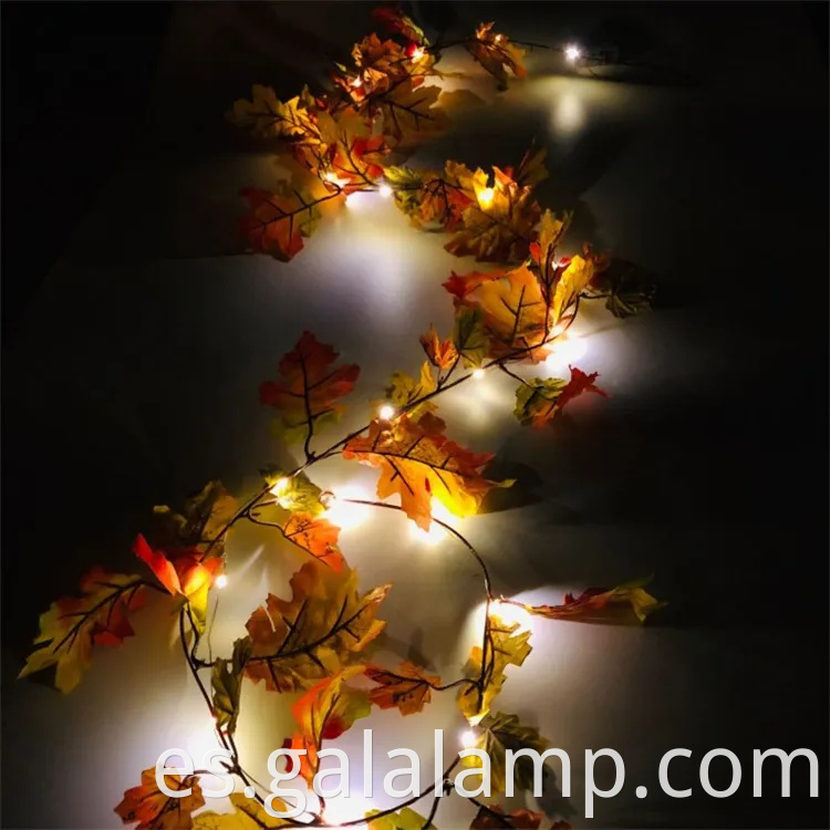 Luces acogedoras de hojas de arce de otoño cálido para la decoración del hogar